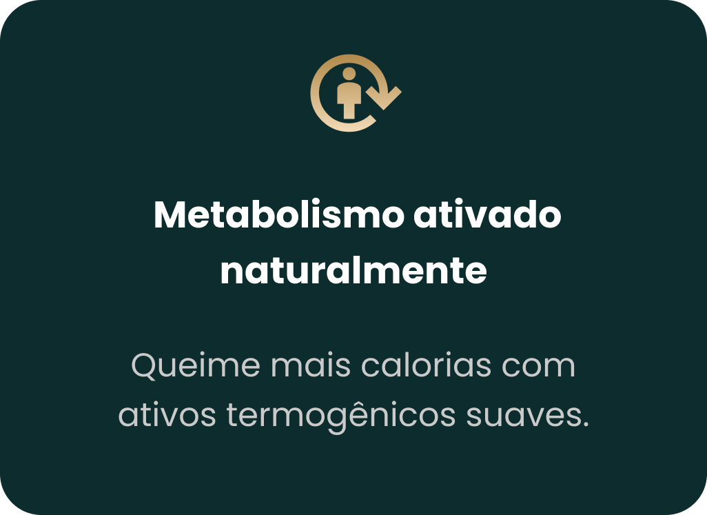 melhorado-3.png